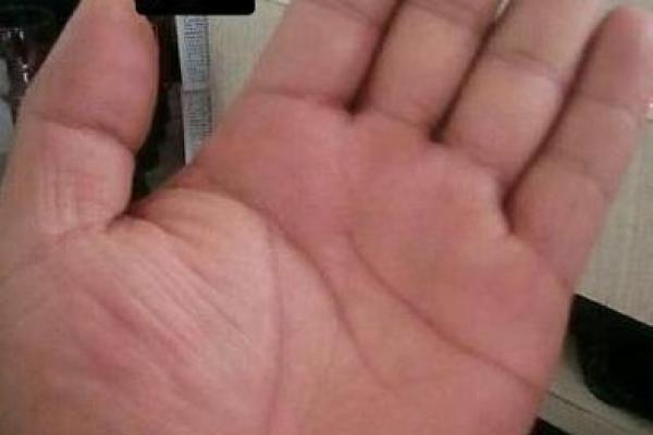 跟随老板手相走，嫁得金龟婿幸福满溢