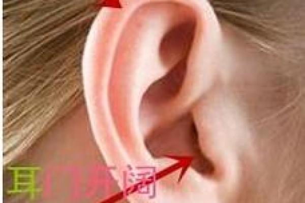精灵耳面相：揭示神秘魅力的面相密码
