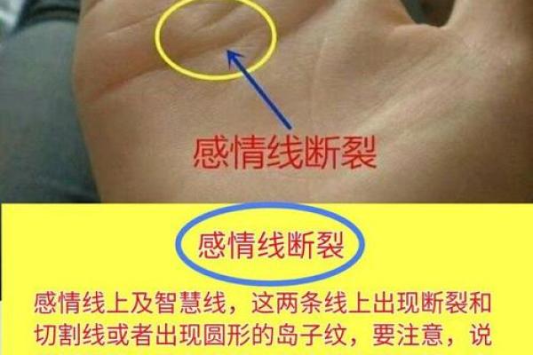 手相解码，揭秘你的完美婚姻另一半！