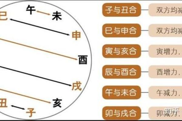 地支相冲大揭秘：月地支西与日地支卯有何玄机？