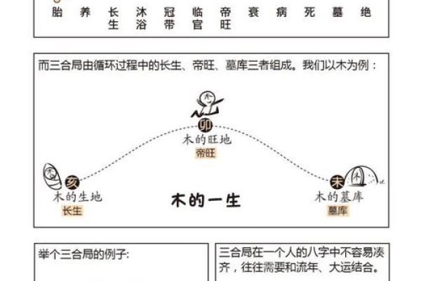 地支相冲大揭秘：月地支西与日地支卯有何玄机？