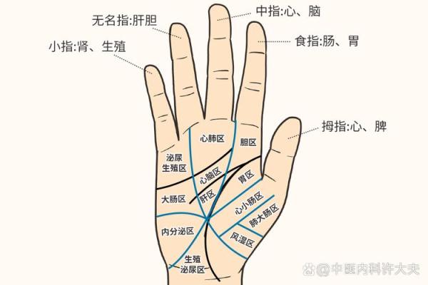 手掌上的颈椎信号，揭秘你的颈椎状况！