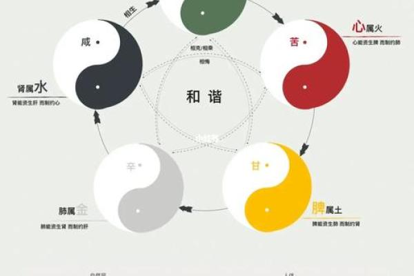 探索航五行的五行属性