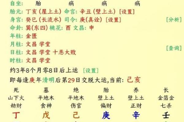 八字丙地支：揭秘提升运势的黄金法则