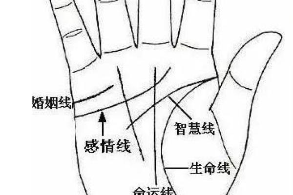 看手相识命运，面相辨人心，痣相知运势，一招读懂人生