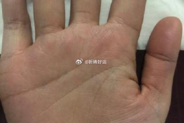 解密手相：教你如何一眼识破域名市场真金白银