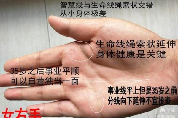 天手相术：解读命运，解锁人生密码