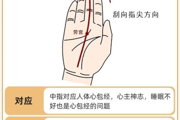 手上经络的秘密：揭秘健康密码