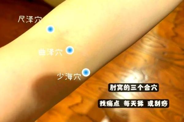 手上经络的秘密：揭秘健康密码