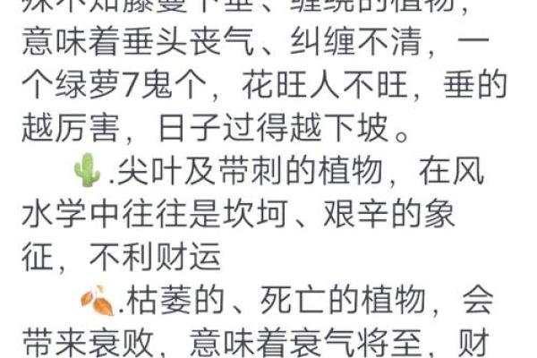 家居风水大师亲授：男人如何通过布局提升运势