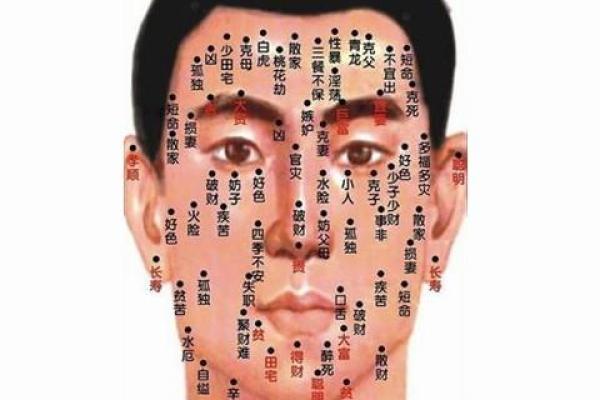 痣相运势：男生身上痣的位置透露了什么？