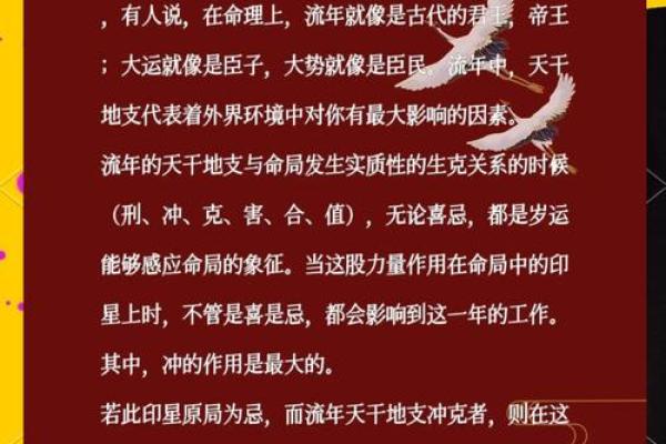 玄机揭秘：地支背后的神秘力量