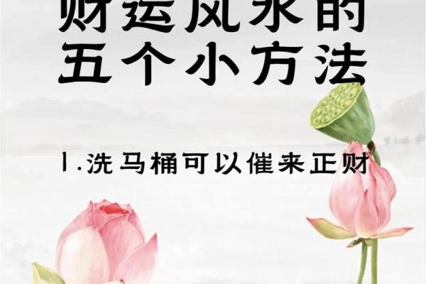 打造财富磁场！家居风水布局让你财源滚滚