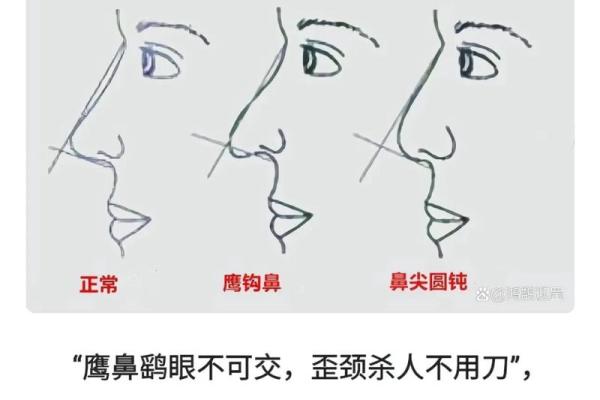 鹰爪鼻，成就非凡人生的面相密码
