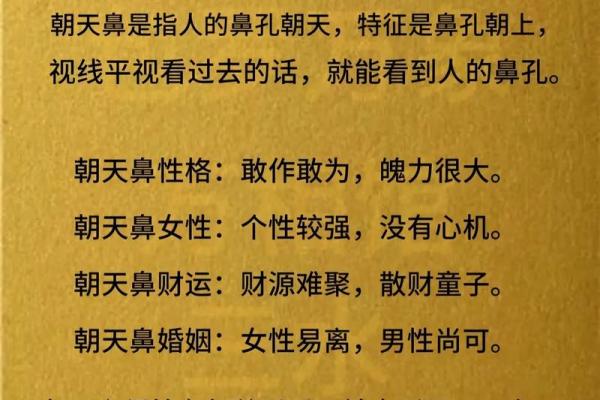 鹰爪鼻，成就非凡人生的面相密码