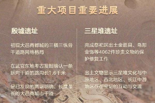 从中原文化看传统文化的深厚底蕴与现代意义