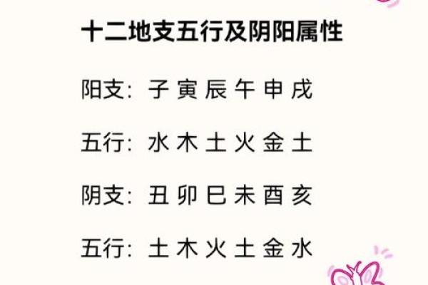 十二地支五行方位奥秘大揭秘
