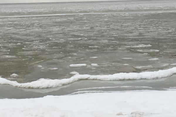 胡冰之运：冰雪融融，冰清玉洁，冰心一片