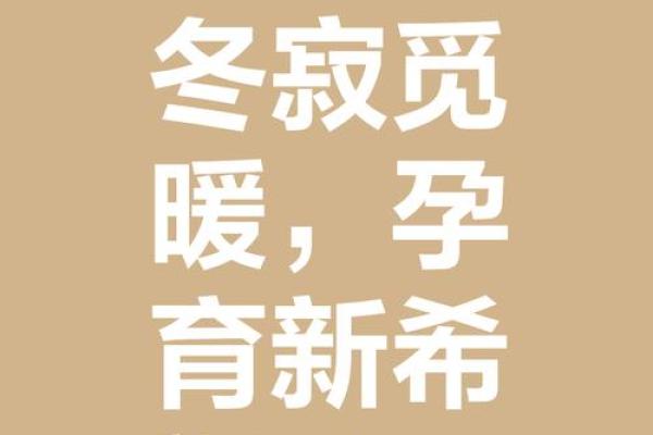 胡冰之运：冰雪融融，冰清玉洁，冰心一片