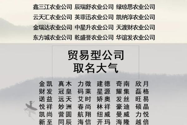 君字在公司名称中的独特魅力与应用分析