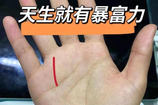 震撼手相揭秘，财运亨通的秘密就在这里！