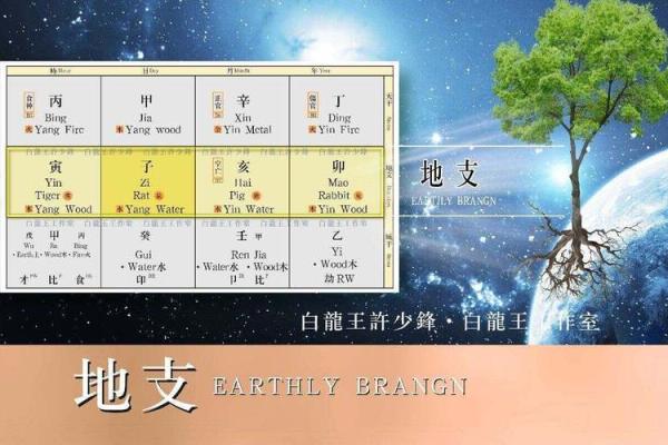 古代智慧之光：地支六冲与对冲在现代的实用价值