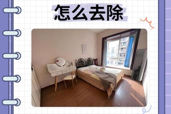 赶走家居虫煞，打造健康生活空间，这些方法你一定要知道！
