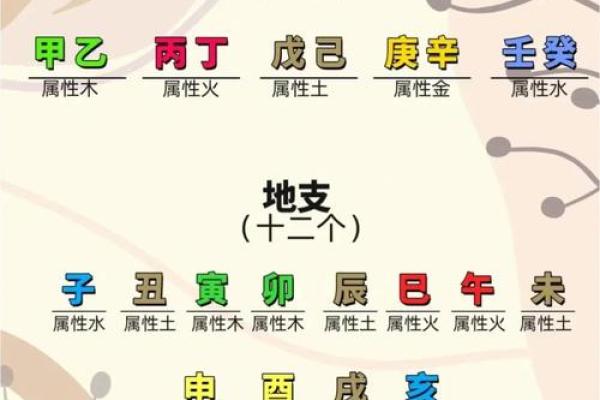 地支相会，吉凶难辨揭秘五行奥秘