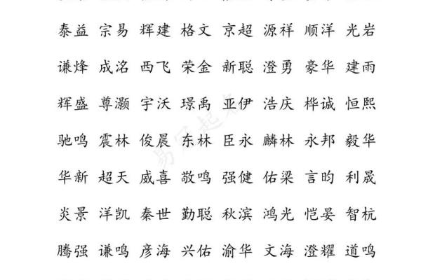 公司起名大全大字：如何为企业选择一个响亮且有意义的名字