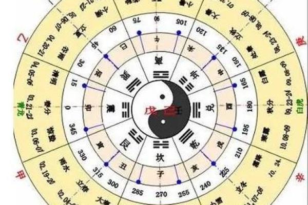 易学宝藏：十二地支藏干深度解读