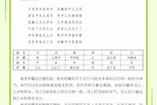 易学宝藏：十二地支藏干深度解读