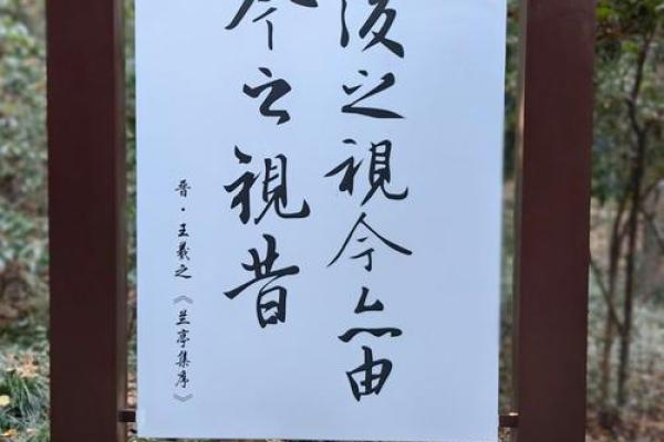 绍兴传统文化的独特魅力与历史传承