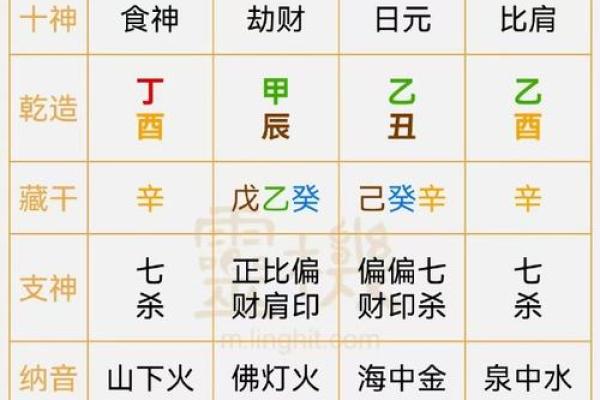 了解午字五行属性