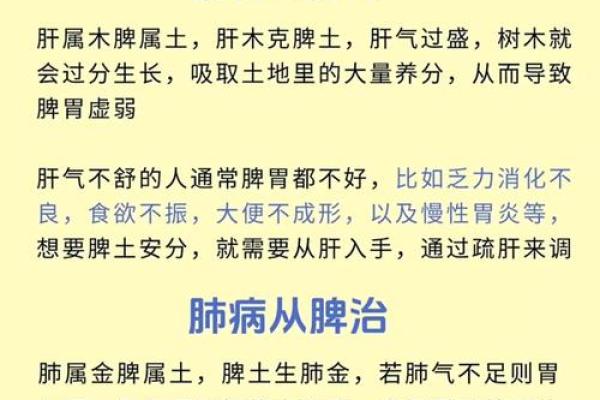 了解午字五行属性