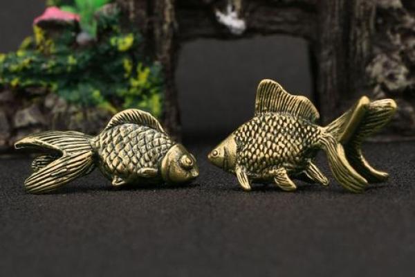 风水金鱼颜色揭秘：办公室招财旺运首选