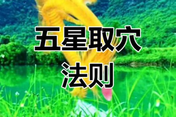 揭秘中原龙脉风水学的奥秘与实用性