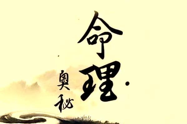 命理金凤凰：揭示命运背后的神秘力量