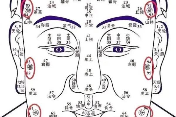 月格格手相解析：揭示你的人生运势密码