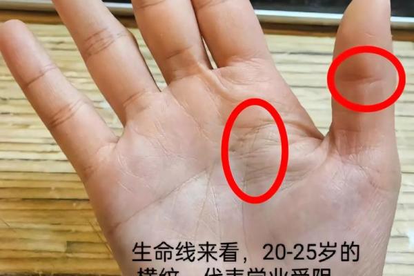 月格格手相解析：揭示你的人生运势密码