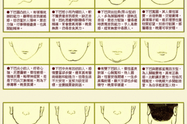 揭秘面相：贪财者的命运密码，你了解多少？