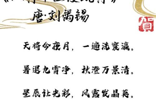 龙腾盛世，中秋明月：传统节日的浪漫颂歌