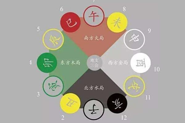 地支冲喜忌大揭秘：让你的运势翻倍增长