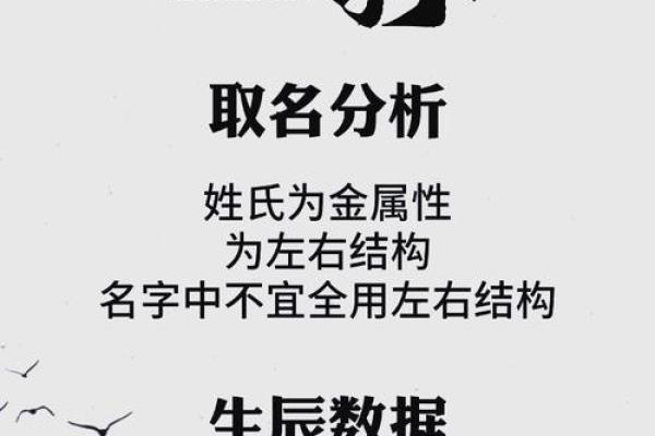 孙童：童真灵动，孙氏传承，未来可期之姓名运势解析