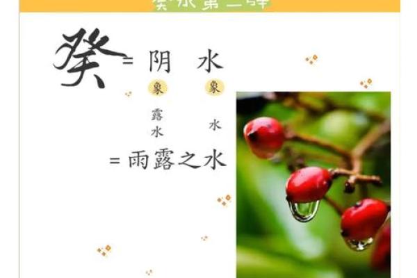 地支相冲破解术：掌握八字相冲的奥秘，改运提升运势