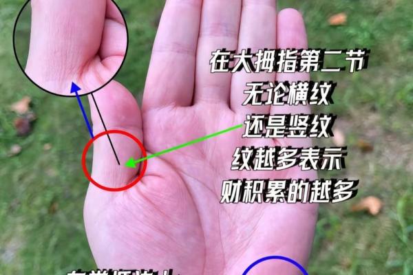 手相揭秘：财富线预示你的人生财运