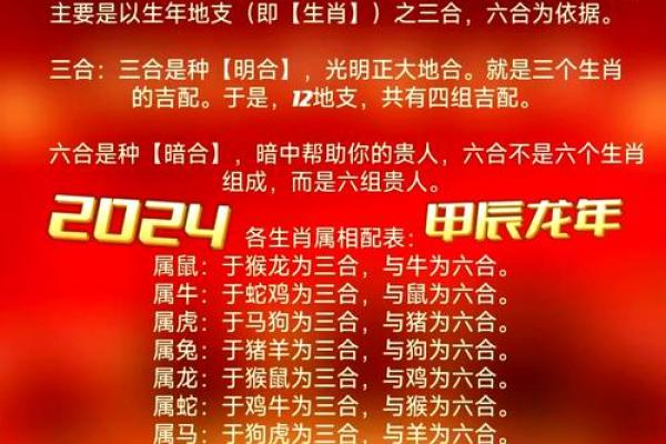 地支运势大比拼，谁才是真正的赢家？