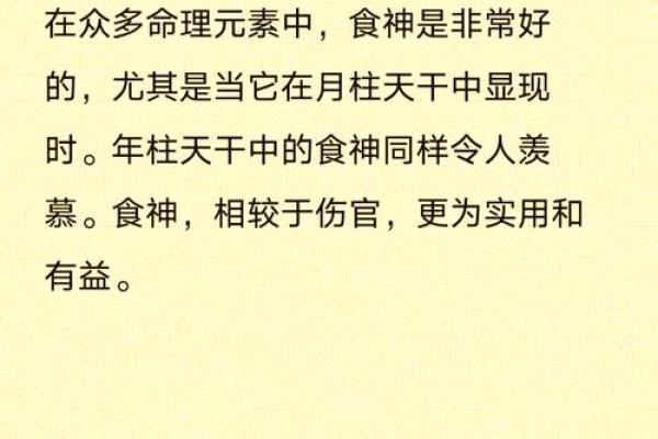 食神地支揭秘：舌尖上的风水秘密