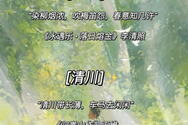 诗词韵味：最具传统文化气息的网名推荐