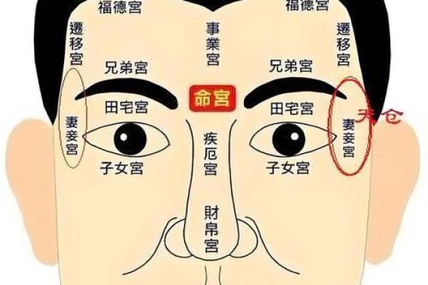 面相鼻子揭秘：配偶性格与命运的秘密