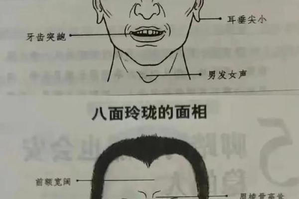 面相鼻子揭秘：配偶性格与命运的秘密